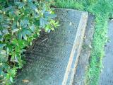 image of grave number 383489